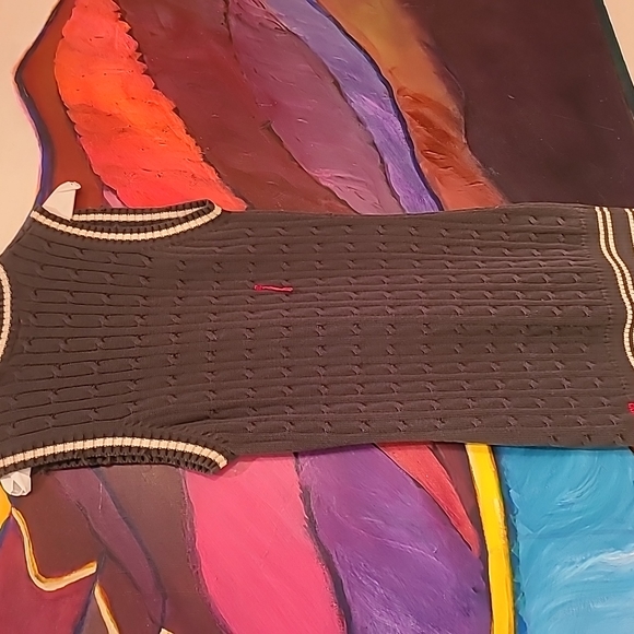 Project E Vintage varsity sweater vest prestine - Picture 4 of 7